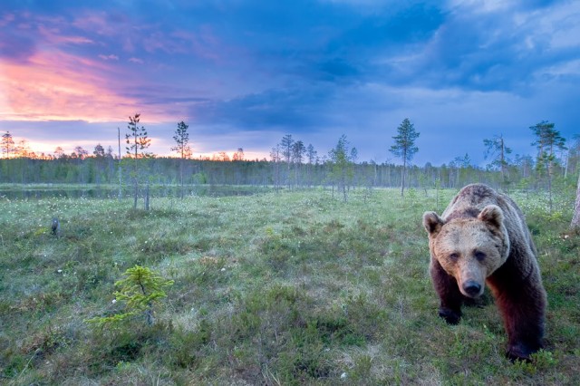 Деревенская Америка