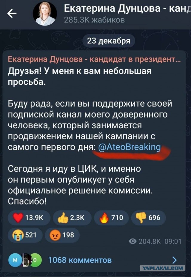 Верховный суд утвердил недопуск Дунцовой кандидатом на президентских выборах