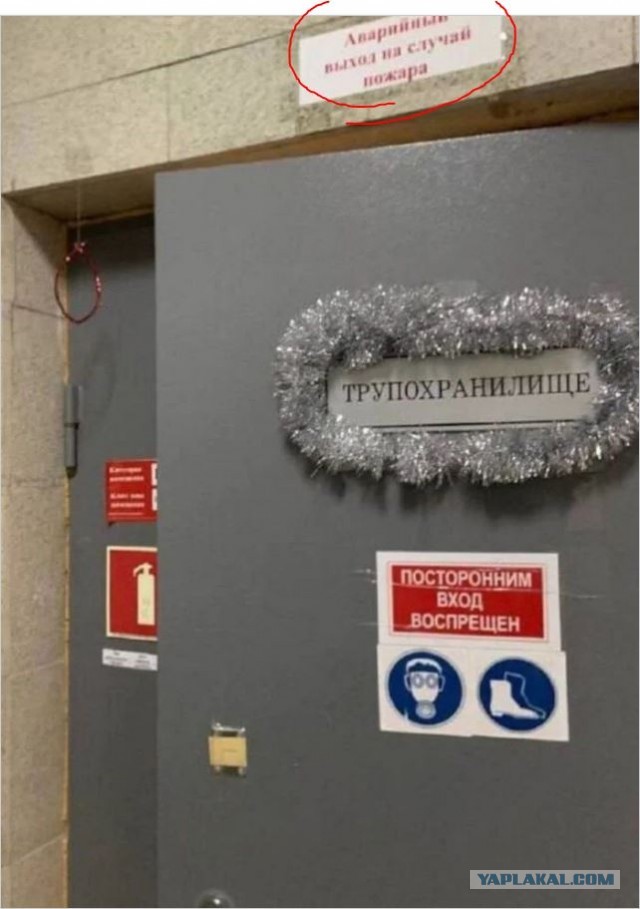 Украшаем всё и вся в последние дни декабря