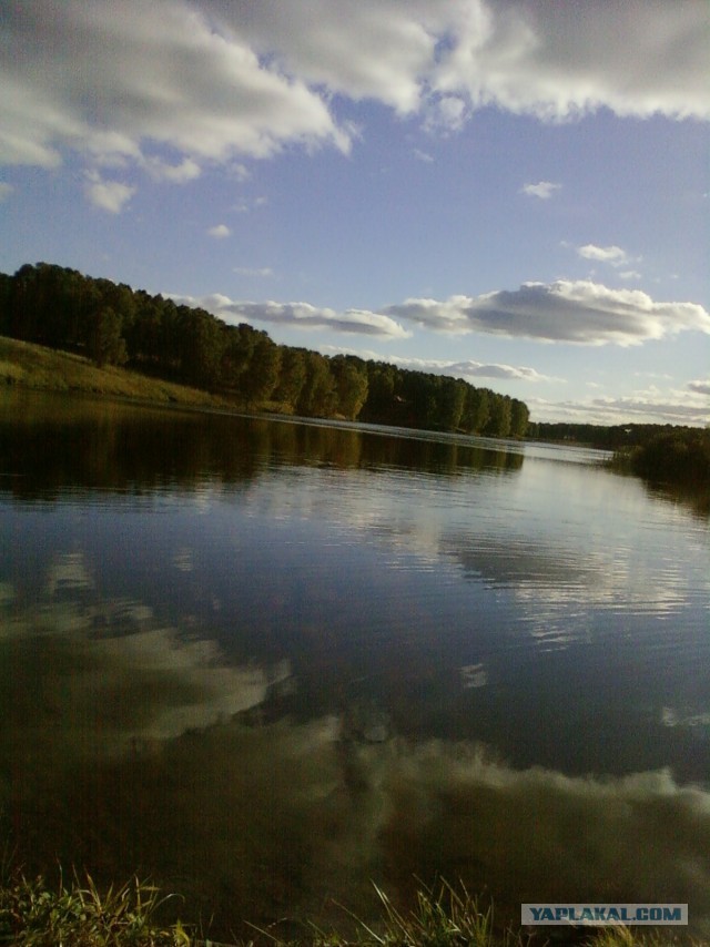 Почистил телефон