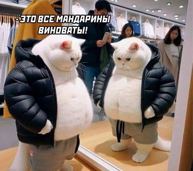 Весёлый полтишок 11.01.23