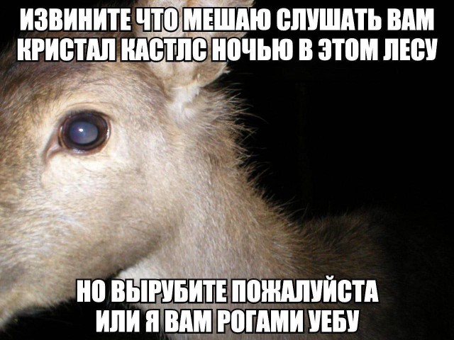 Всего понемногу. От 15.01.2024
