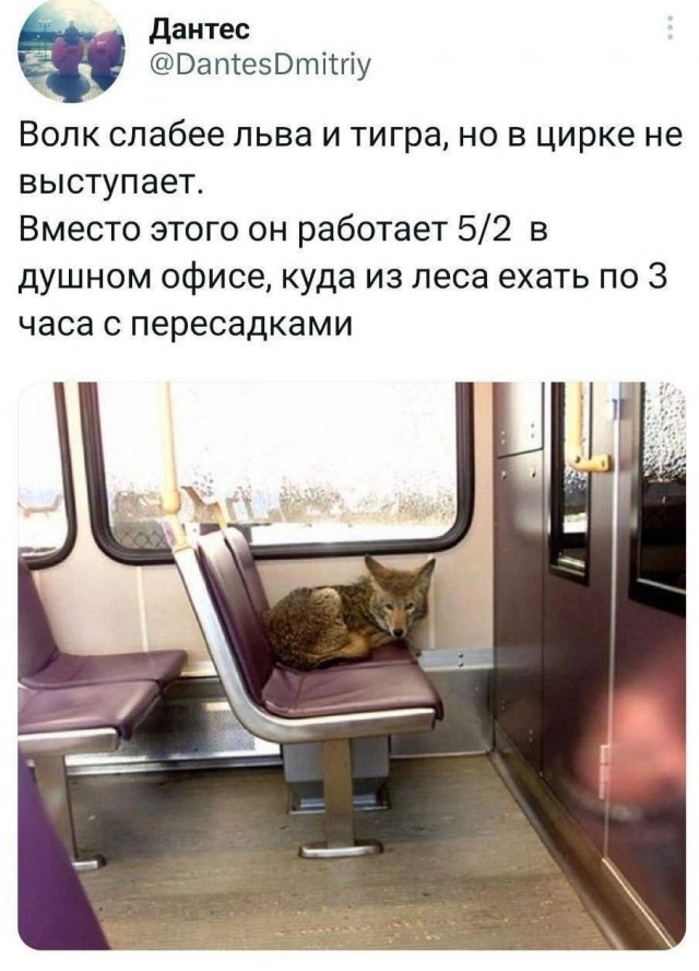 Всего понемногу. От 17.01.24