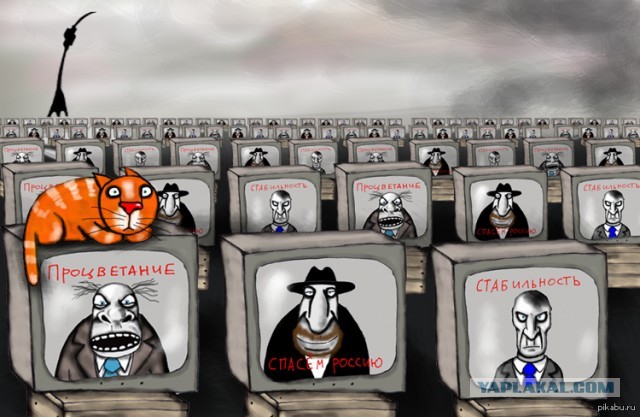 Пользователи соцсетей высказались об интервью Такера Карлсона