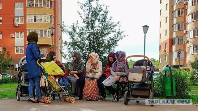 Общежитие народов: в Подмосковье от работодателей потребуют строить жилье для работников-мигрантов