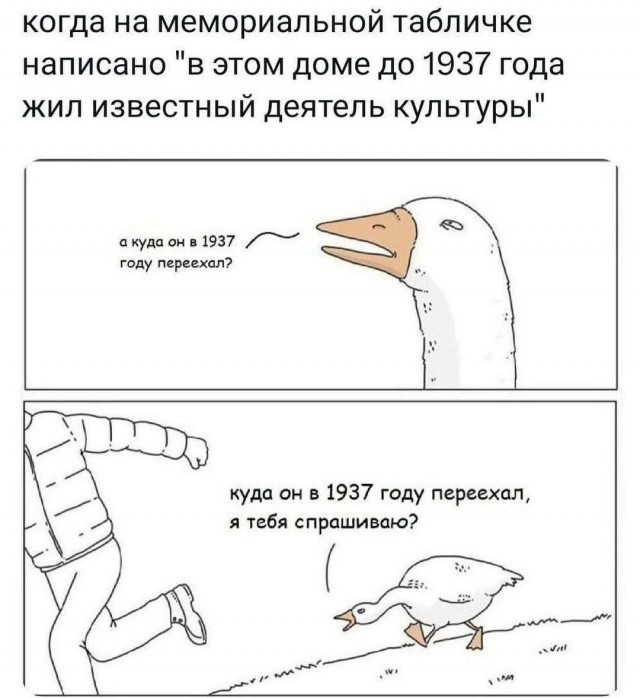 Так себе картинки 04.05.24
