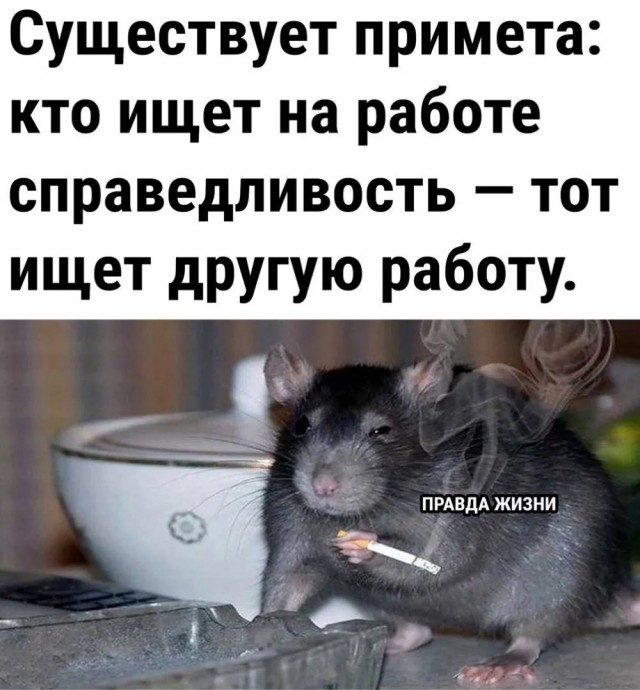 Студент РГСУ поспорил с преподавателем о сталинских репрессиях.