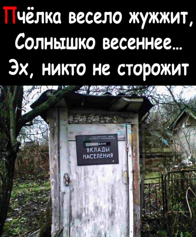 Немного забавных картинок от 22.08.2024