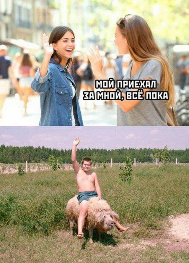 Народная меДИЧина 5001