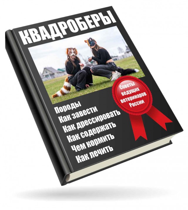 Квадробер квадроберу рознь