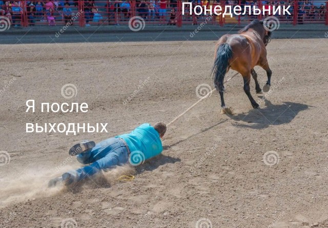 Веселые картинки в понедельник (30.09)