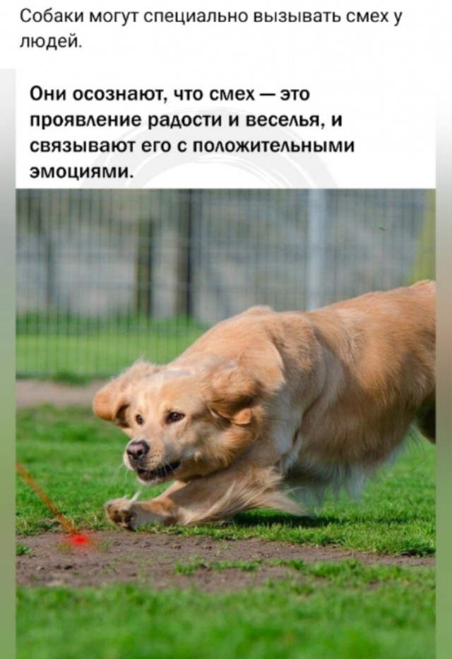 Так себе картинки 01.10.24