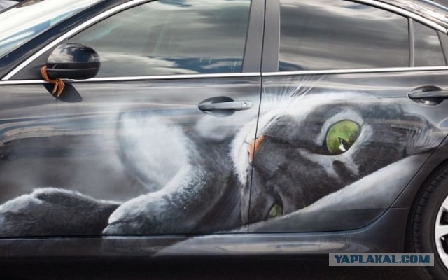 Показалось