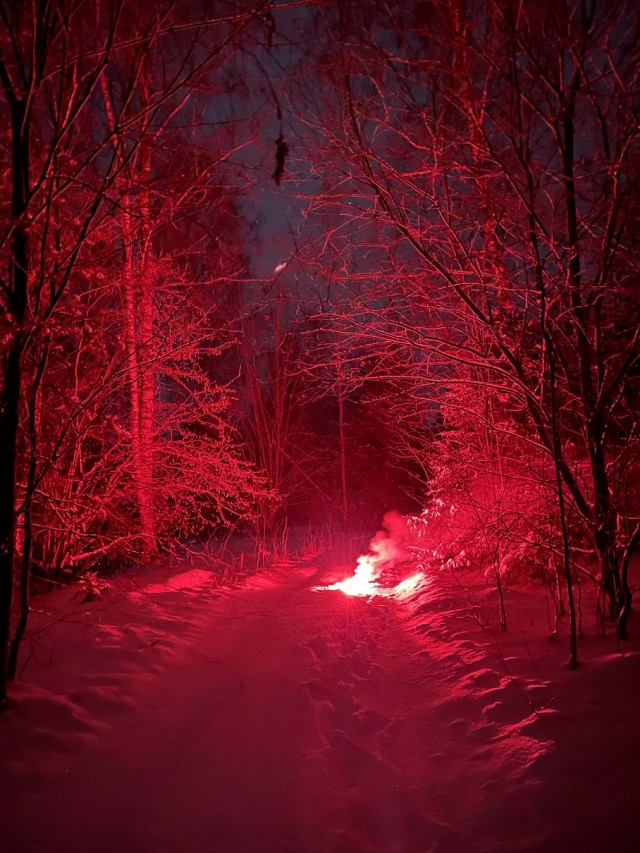 Сегодня - зимнее солнцестояние