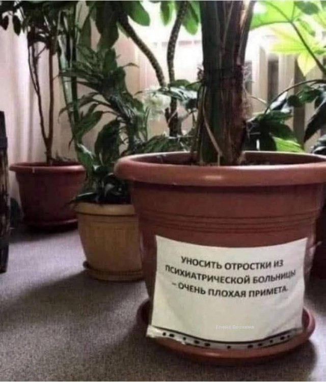 Картинки про юмор