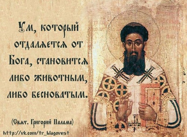 Прикольные и просто красивые картинки 31.01.2025