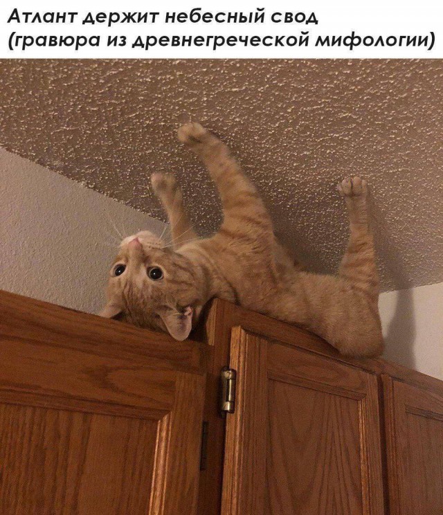 Завалялось тут случайно немного забавных картинок