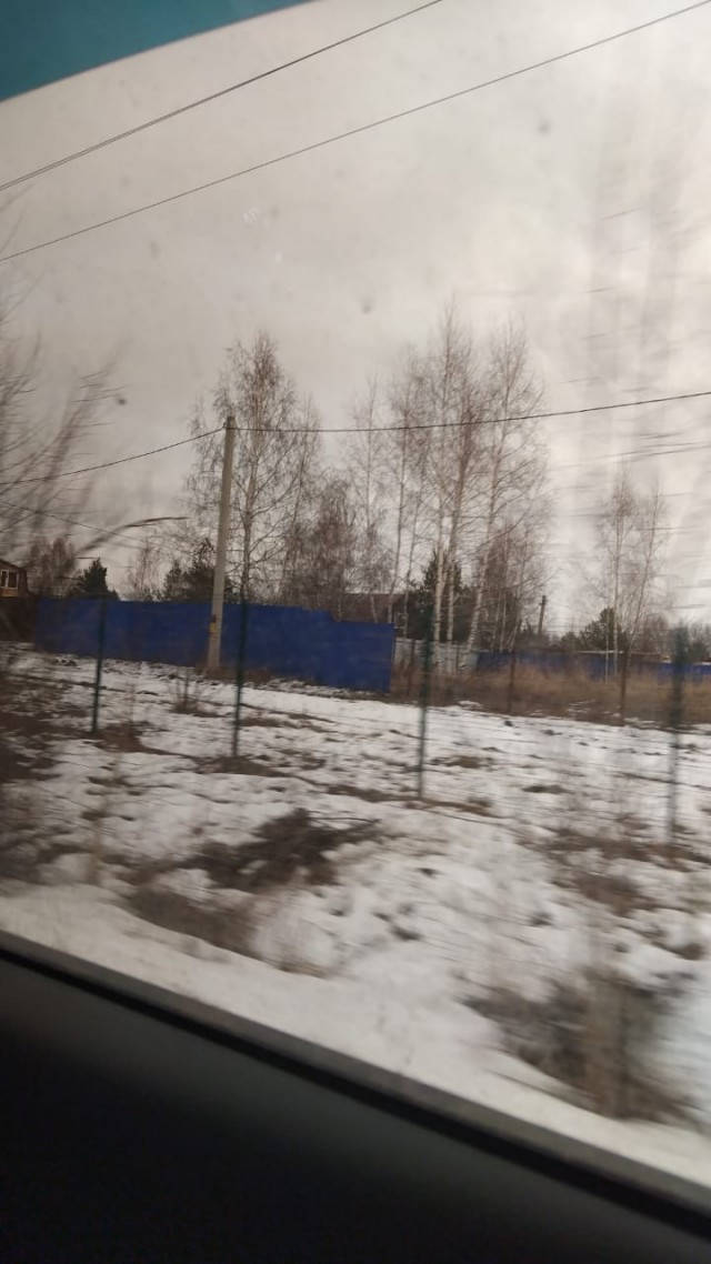 А вы посадили картошку?