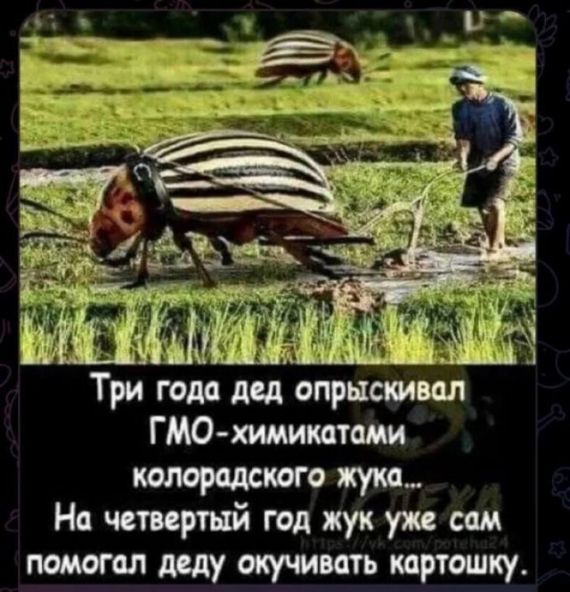 Завалялось тут случайно немного забавных картинок
