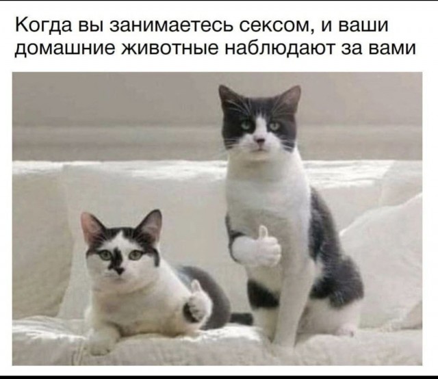 Не очень адекватный юмор