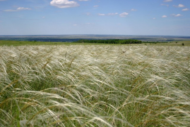 Донская степь
