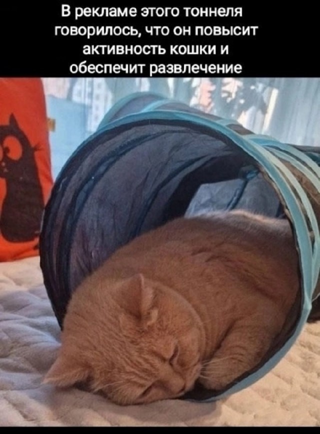 Так себе картинки 28.07.25