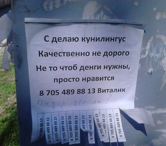 Прикольные и просто красивые картинки 01.08.2025