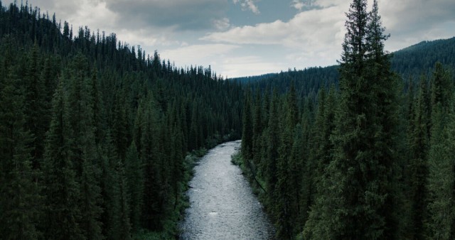 Люди-медведки и мой святой долг.