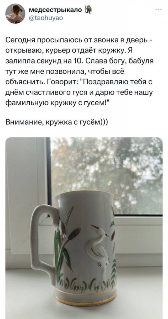 В следующий раз она пришлёт 100 кг кабачков с открыткой «С днём великого кабачкования»