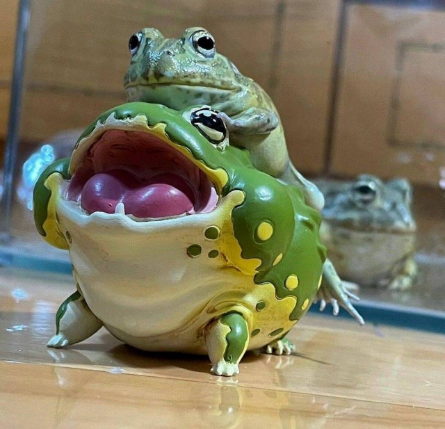 Эх пятницо картинки же