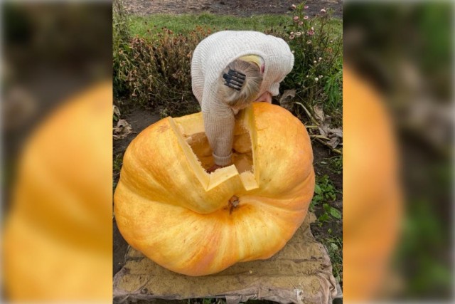 Урсулу порезали