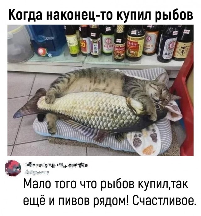 Воскресные картинки