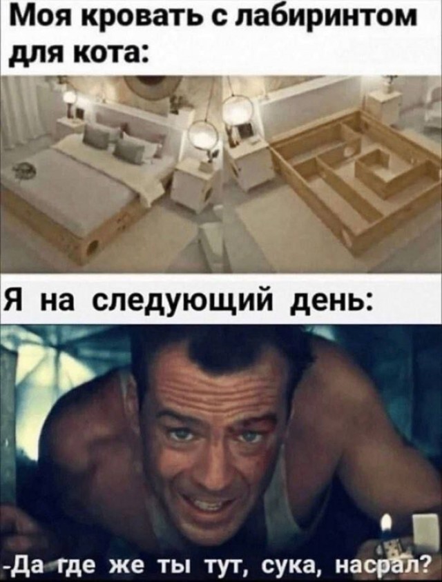 Пятничные картинки