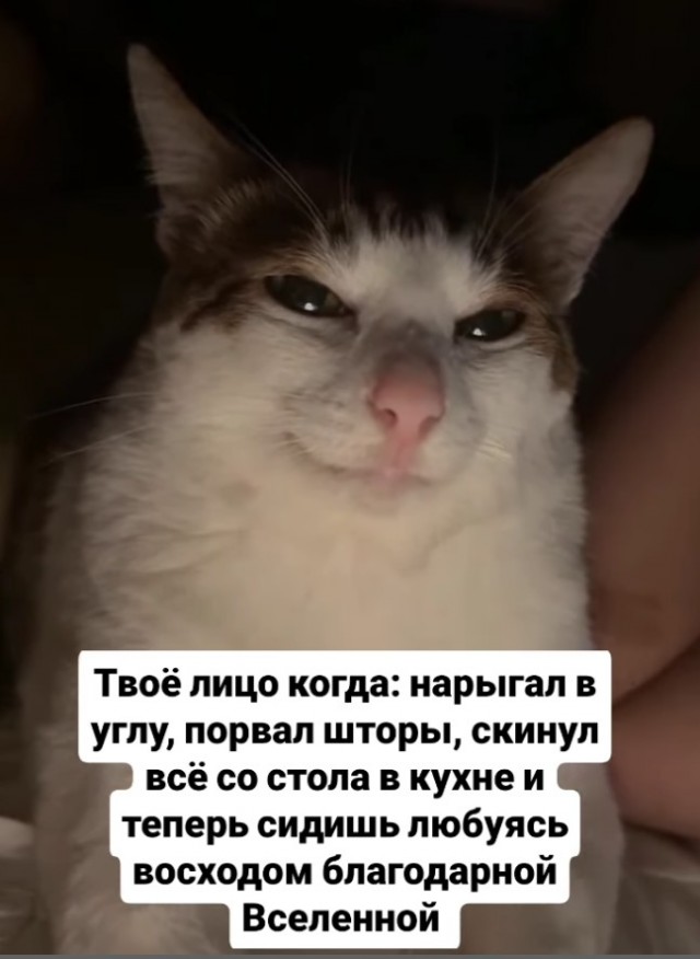 Шерстяные пидо.... братья наши меньшие
