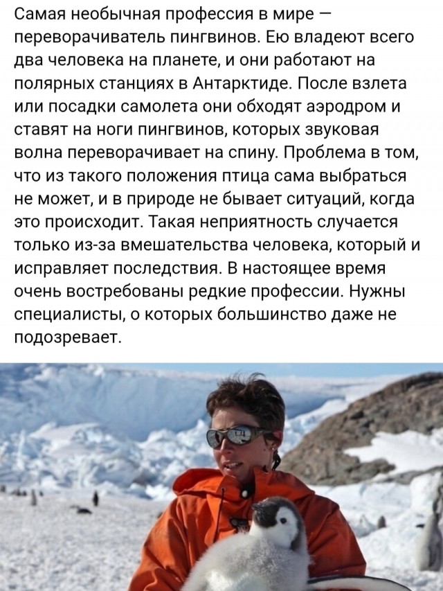 Так себе картинки 06.12.25