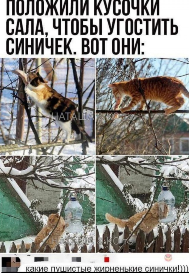 Среды картинки