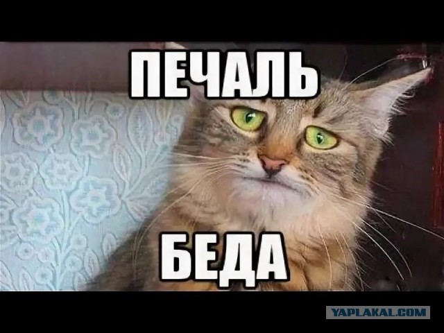 В ГД предложили дать рассрочку оплаты отопления части граждан
