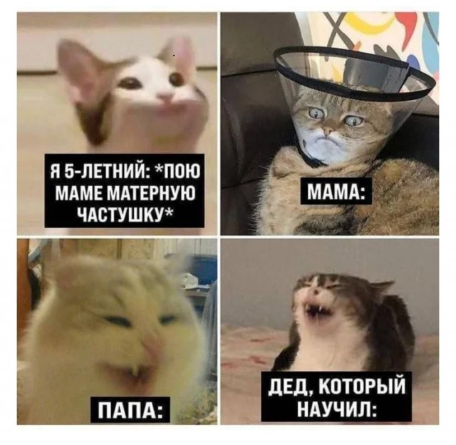 Немного е*анины на среду