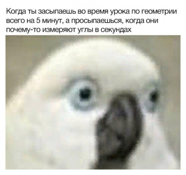 Картинки для деградации 139 (разной степени свежести)