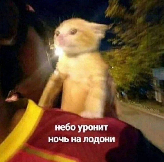 Картинки старые и новые