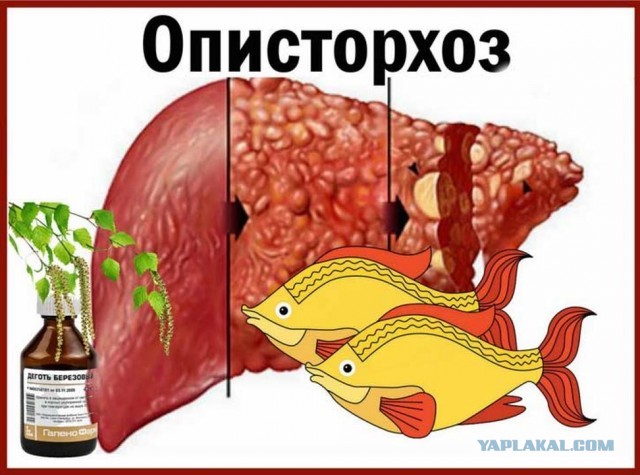 Пока лёд не растаял, надо успеть.