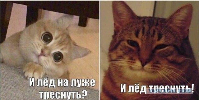 Как называется такая мания?