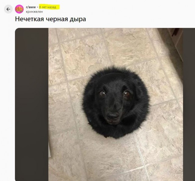 Шарик и Кошарик