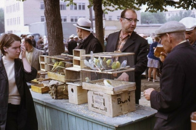 Фотографии из прошлого нашей страны – 144