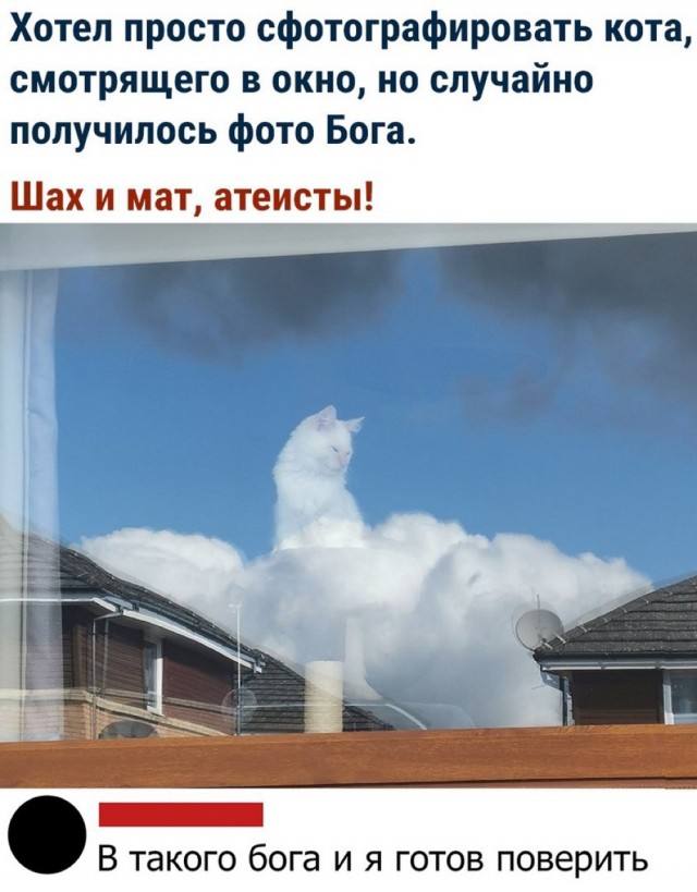 Картиночки, баянчики 18 июня
