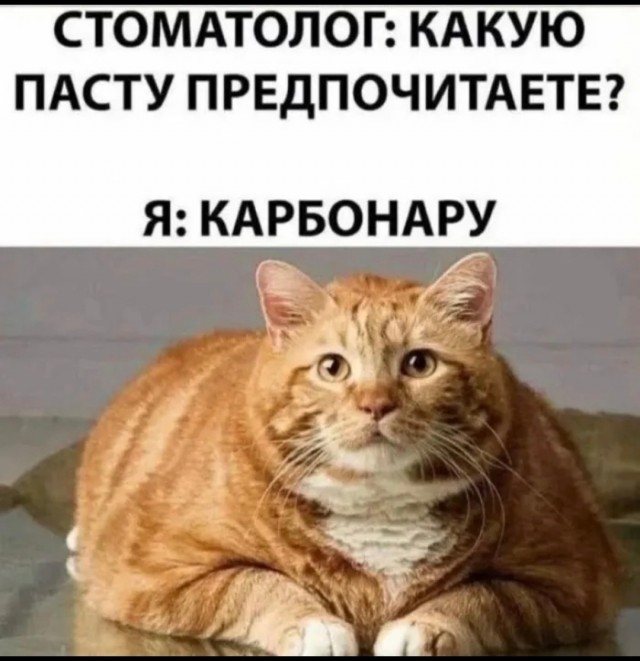 Картинки для деградации 249 (разной степени свежести)