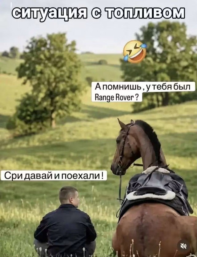 Так себе картинки 22.08.26