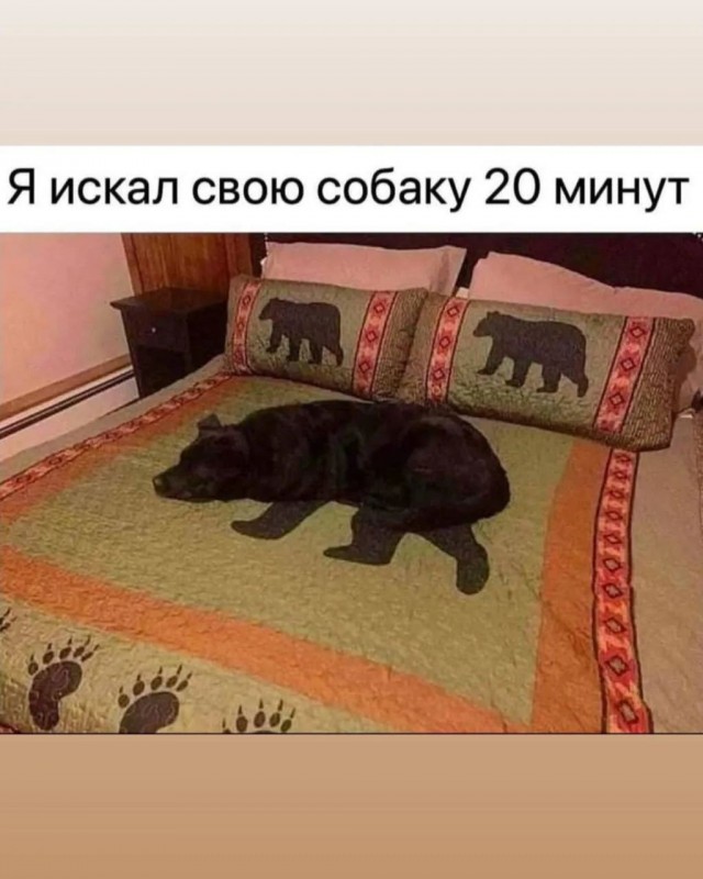 Веселые картинки в пятницу (16.10)