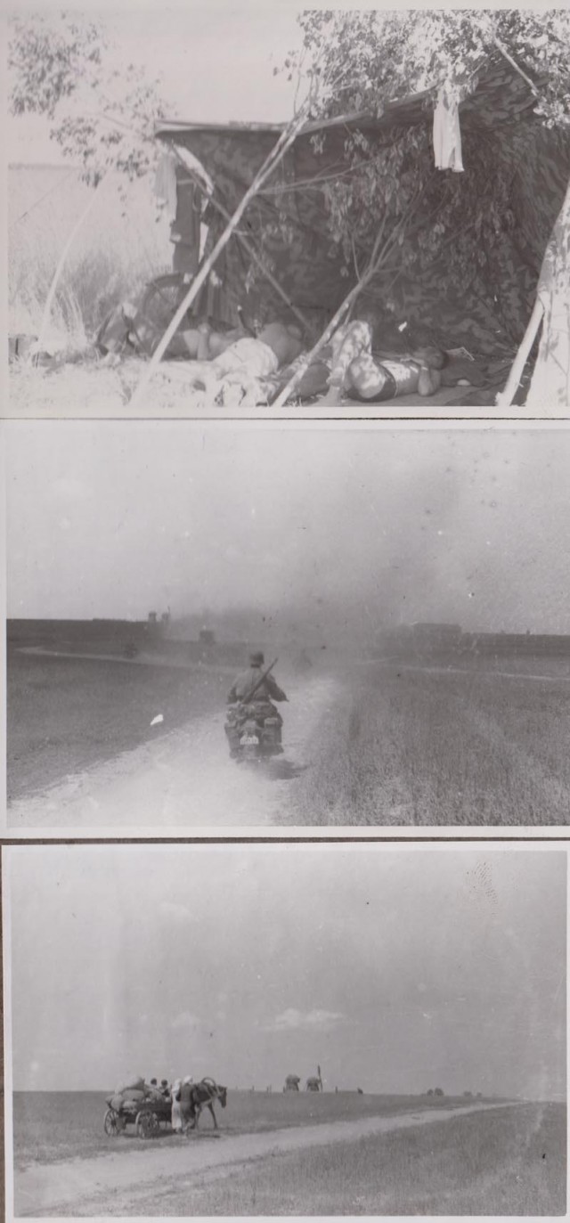 Лето 1941 года.