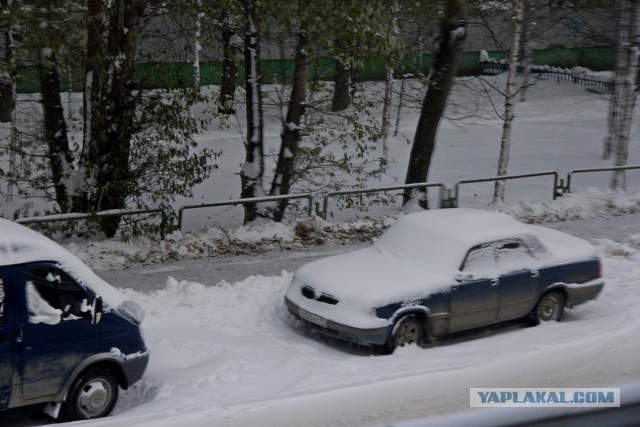 А что у вас за погода сейчас?